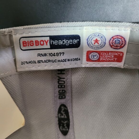 NWOT MICHIGAN WOLVERINES Baseball Hat/Cap. H060 - Picture 8 of 8